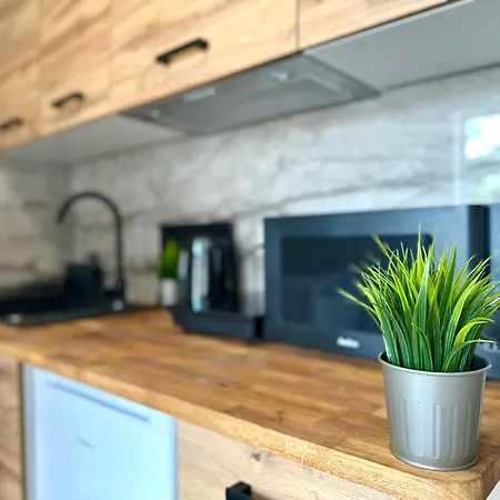 Mmrent Geometry Accommodatie bij particulieren Gdańsk